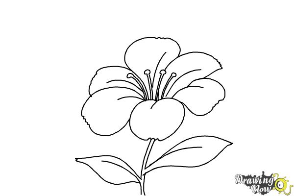 Coloring Page