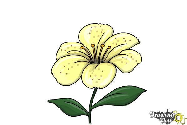 How to Draw a Flower Step by Step - Step 7