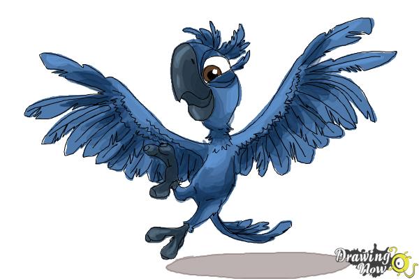 How to Draw Tiago from Rio 2 - Step 10
