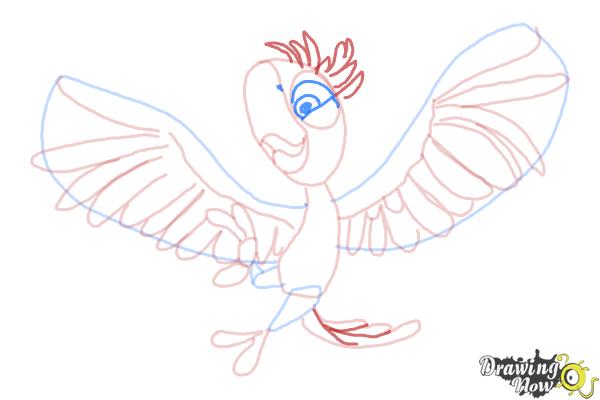 How to Draw Tiago from Rio 2 - Step 8