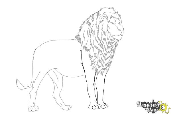 Coloring Page