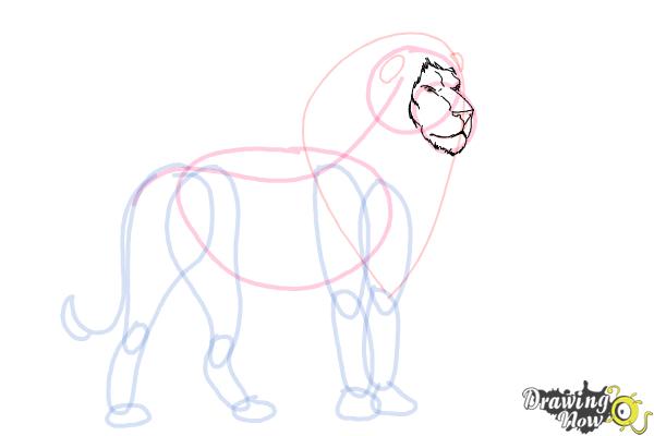 How to Draw a Lion Step by Step - Step 6 How to Draw a Lion Step by Step - Step 6