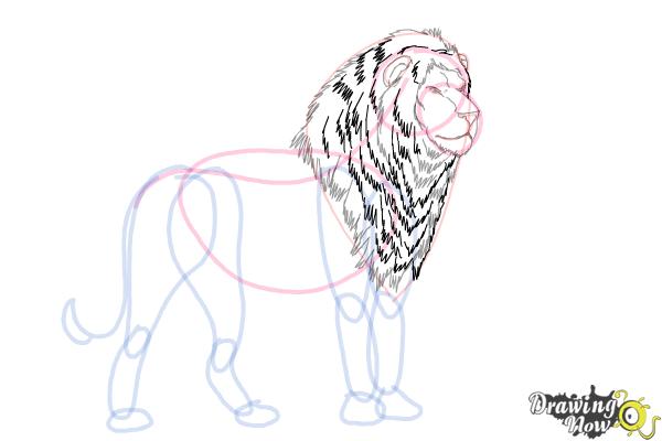 How to Draw a Lion Step by Step - Step 8 How to Draw a Lion Step by Step - Step 8