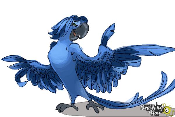 How to Draw Roberto from Rio 2 - Step 13