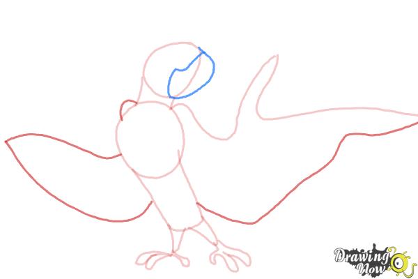 How to Draw Roberto from Rio 2 - Step 5