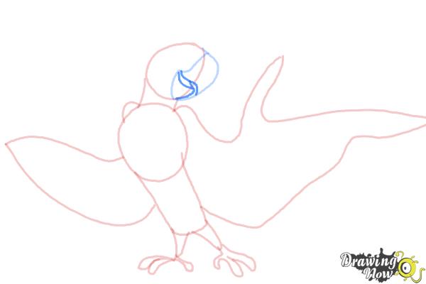 How to Draw Roberto from Rio 2 - Step 6