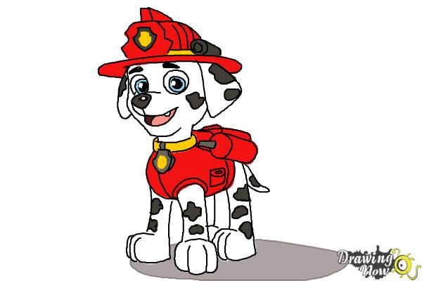How to Draw Marshall from PAW Patrol - Step 10