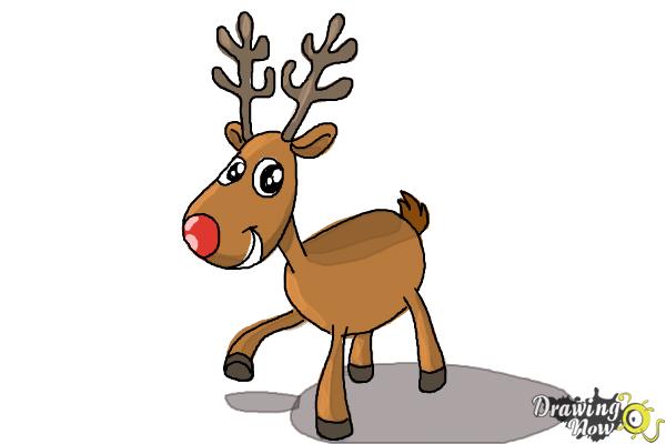 How to Draw a Reindeer For Kids - DrawingNow