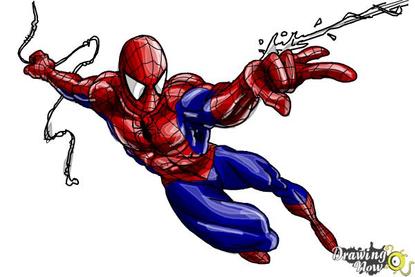 How to Draw Spiderman Step by Step