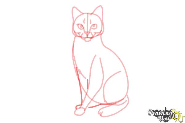 How to Draw Hawkfrost from Warrior Cats - Step 10