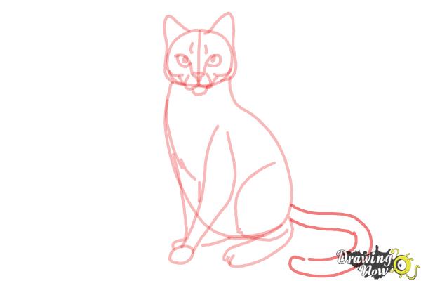 How to Draw Hawkfrost from Warrior Cats - Step 11