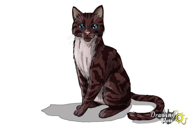 How to Draw Hawkfrost from Warrior Cats - Step 14