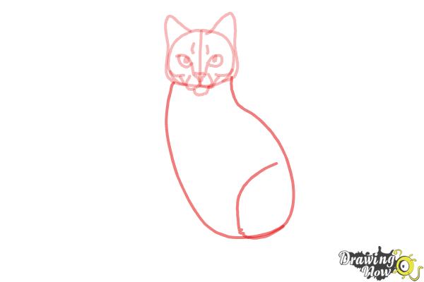 How to Draw Hawkfrost from Warrior Cats - Step 7 How to Draw Hawkfrost from Warrior Cats - Step 7