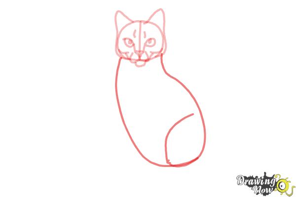 How to Draw Hawkfrost from Warrior Cats - Step 7