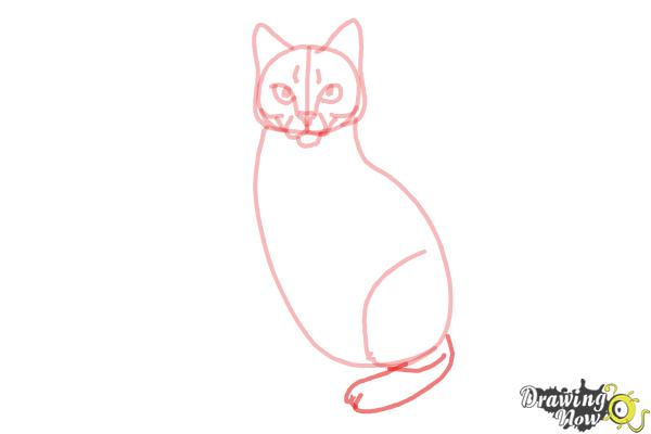 How to Draw Hawkfrost from Warrior Cats - Step 8 How to Draw Hawkfrost from Warrior Cats - Step 8