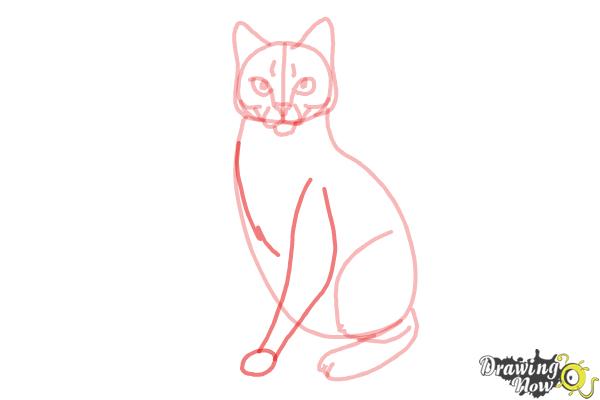 How to Draw Hawkfrost from Warrior Cats - Step 9