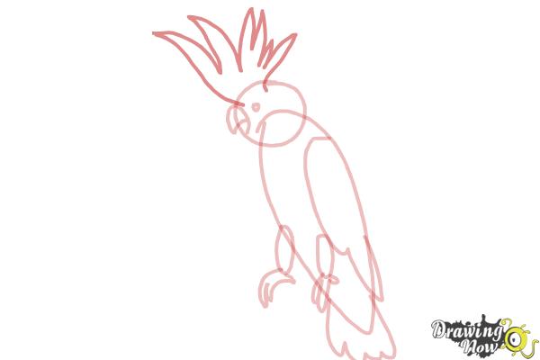 How to Draw a Cockatoo - Step 8