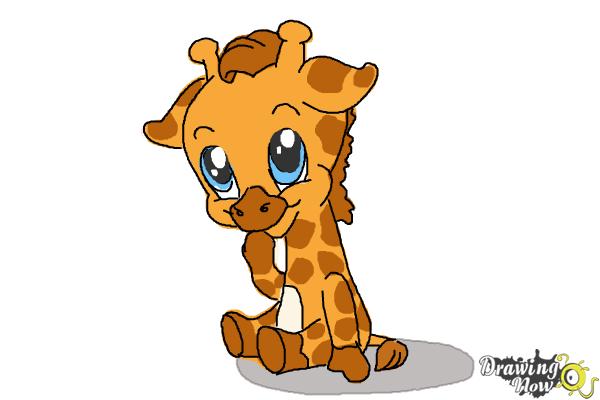 How to Draw a Baby Giraffe - Step 11