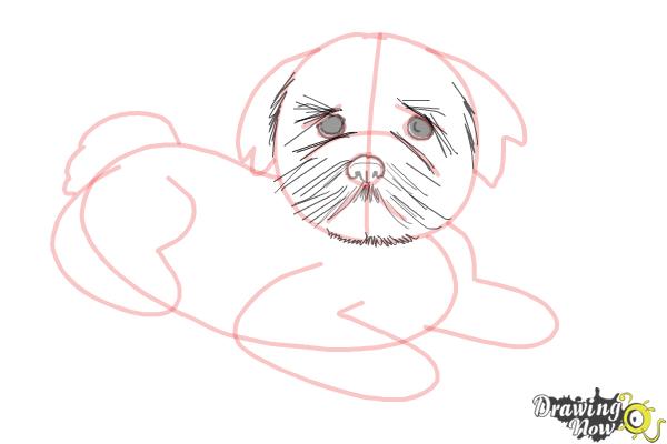 How to Draw a Furry Dog - Step 7