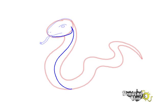 How to Draw a Snake Step by Step - Step 7