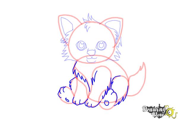 How to Draw a Baby Wolf - Step 8