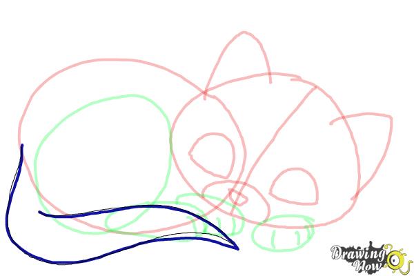 How to Draw a Baby Cat - Step 8