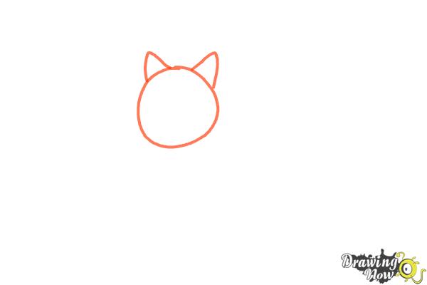 How to Draw a Wolf Step by Step - Step 1 How to Draw a Wolf Step by Step - Step 1