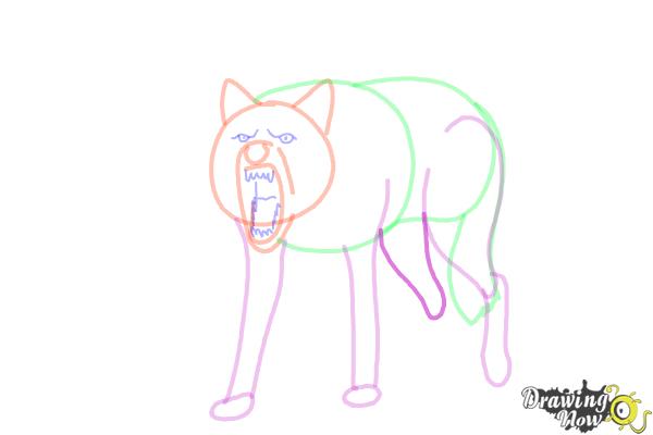 How to Draw a Wolf Step by Step - Step 10 How to Draw a Wolf Step by Step - Step 10