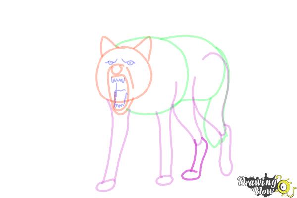 How to Draw a Wolf Step by Step - Step 11