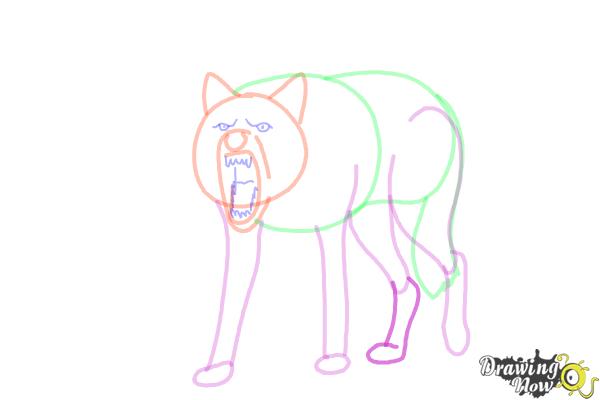 How to Draw a Wolf Step by Step - Step 11 How to Draw a Wolf Step by Step - Step 11