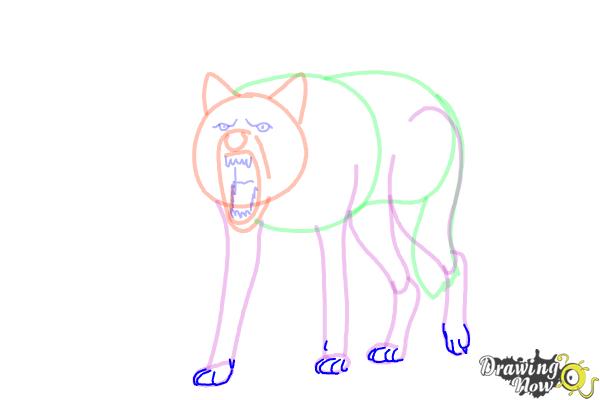How to Draw a Wolf Step by Step - Step 12 How to Draw a Wolf Step by Step - Step 12