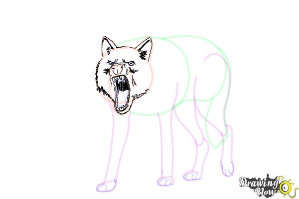 How to Draw a Wolf Step by Step - Step 13