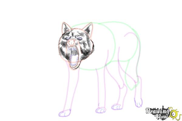 How to Draw a Wolf Step by Step - Step 14