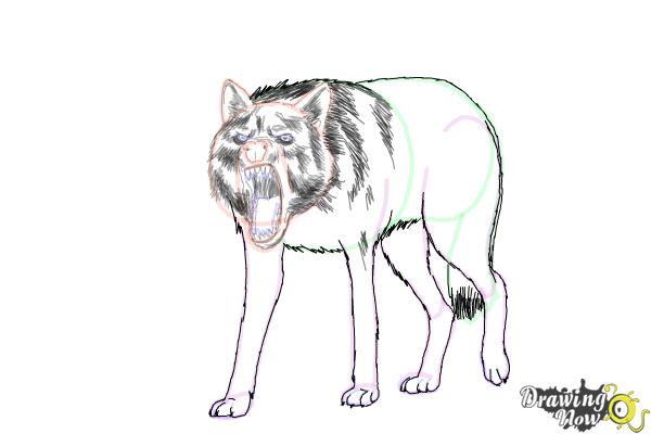 How to Draw a Wolf Step by Step - Step 15 How to Draw a Wolf Step by Step - Step 15