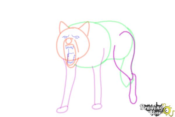 How to Draw a Wolf Step by Step - Step 9