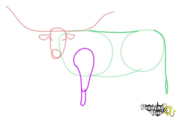 How to Draw a Longhorn - Step 5