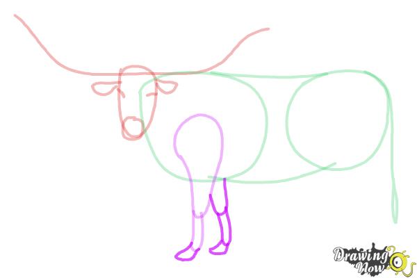 How to Draw a Longhorn - Step 6