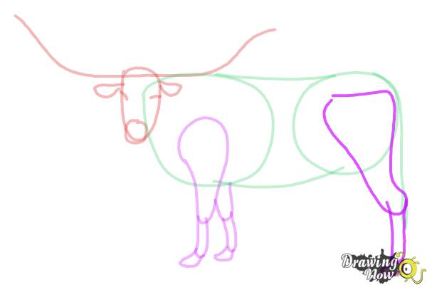 How to Draw a Longhorn - Step 7