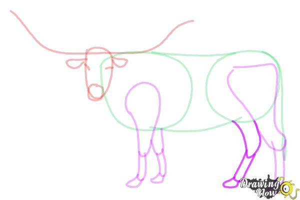 How to Draw a Longhorn - Step 8