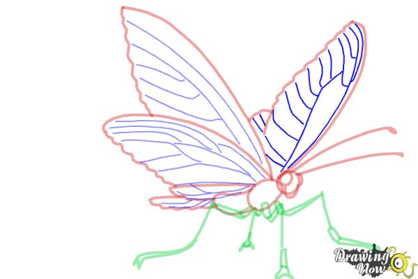 How to Draw a Butterfly Step by Step - Step 7