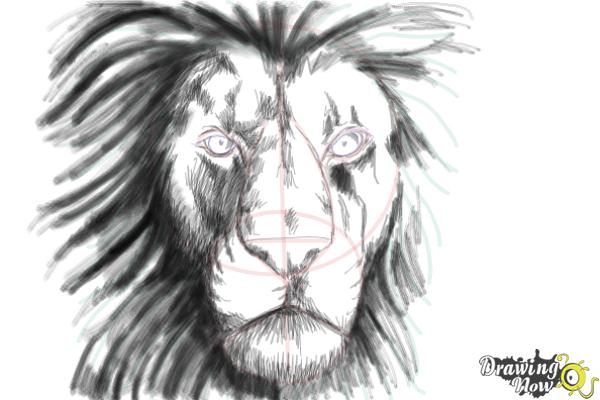 How to Draw a Lion Face - DrawingNow