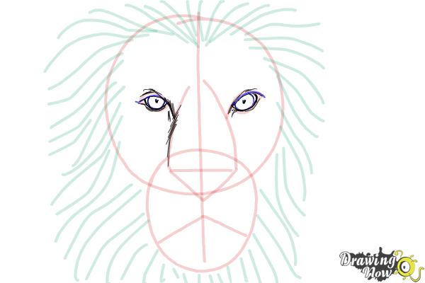 How to Draw a Lion Face - Step 6 How to Draw a Lion Face - Step 6