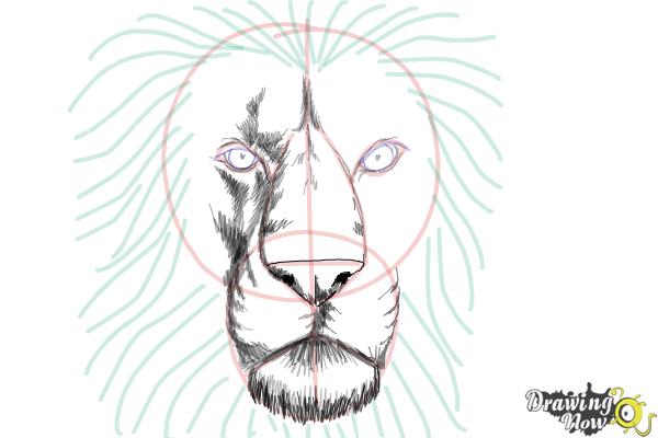 How to Draw a Lion Face - Step 8