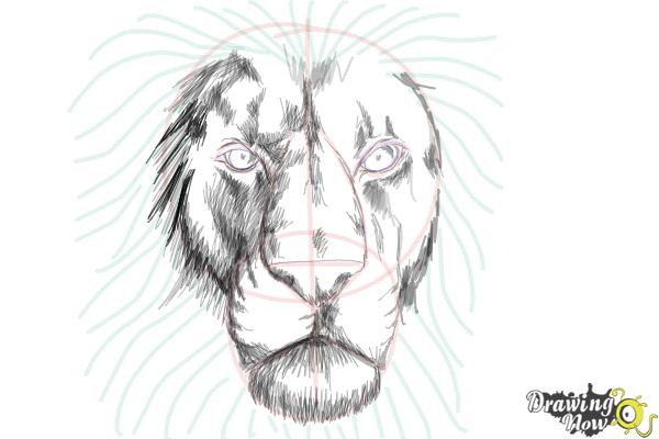 How to Draw a Lion Face - Step 9