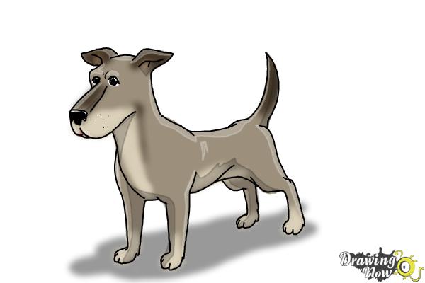 How to Draw a Dog Step by Step - Step 10 How to Draw a Dog Step by Step - Step 10