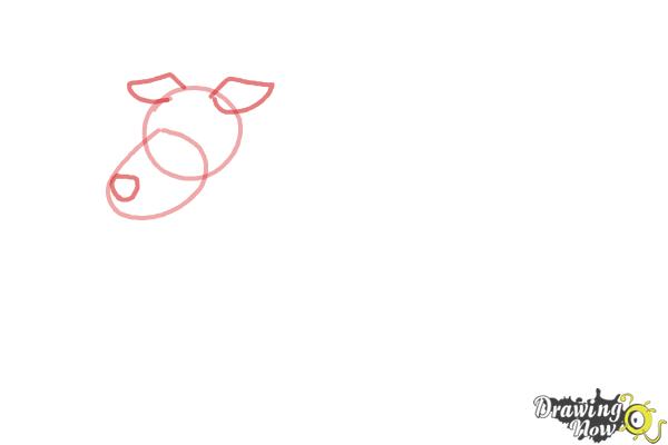How to Draw a Dog Step by Step - Step 2 How to Draw a Dog Step by Step - Step 2