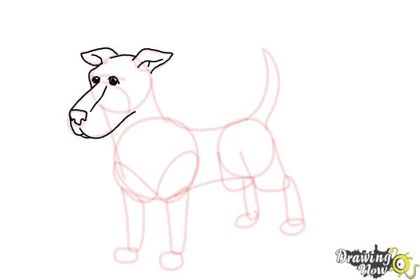 How to Draw a Dog Step by Step - Step 7