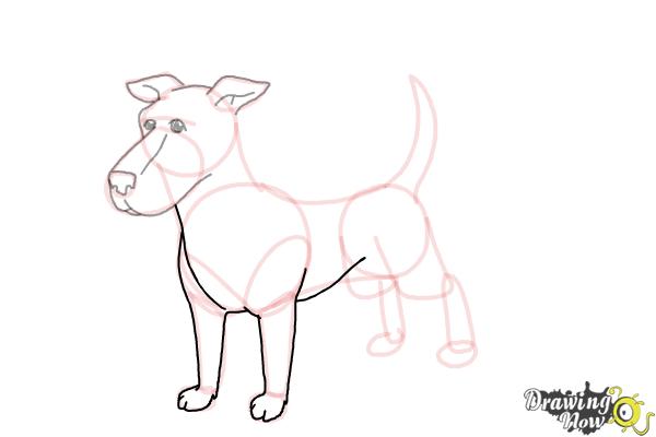 How to Draw a Dog Step by Step - Step 8