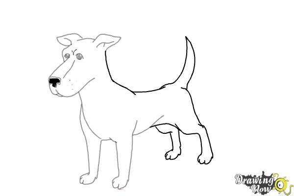 How to Draw a Dog Step by Step - Step 9 How to Draw a Dog Step by Step - Step 9