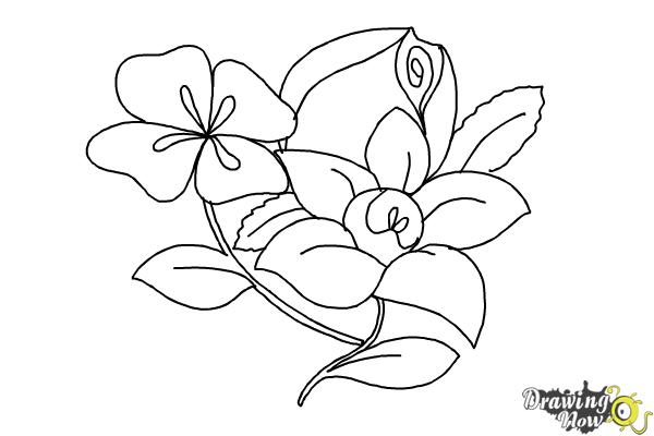 Coloring Page